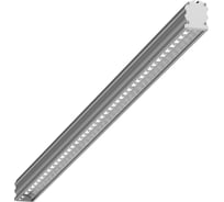 Светильник LEDEL L-trade 55/45/Д/5,0К/02/IKIII-13/220AC/Standart IP54 231012