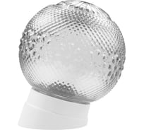 Светильник TDM ELECTRIC НББ 64-60-025 УХЛ4 (шар стекло Цветочек/наклонное основание) SQ0314-0006