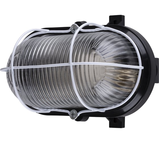 Светильник TDM ELECTRIC НБП 02-60-019.01 (Евро корпус и металлическая сетка, черный) SQ0312-0008