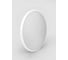 Светильник светодиодный truEnergy накладной круг 96W ССT 3000-6500K 7680Lm D465мм IP20 белый/металл 11607 2