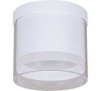 Накладной светильник ReLuce 53061-9.5-001LD GX53 WT