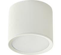 Накладной светильник ReLuce 53005-9.5-001LD GX53 WT