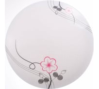 Светодиодный светильник Спутник SP-FCL SM30W