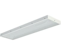 Светильник TECHNOLUX TL06 TG IP54 3700 лм, 4000 K, 30 Вт, IP54 04014