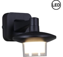 Уличный настенный светодиодный светильник ReLuce 08335-9.2-001JH LED12W BK RLOS