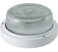 Светильник TDM ELECTRIC НПП 03-100-003 (металл, стекло) IP65 SQ0311-0019