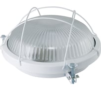 Светильник TDM ELECTRIC НПП 03-100-020.02 (Рыбий глаз с решеткой) IP65 SQ0311-0022