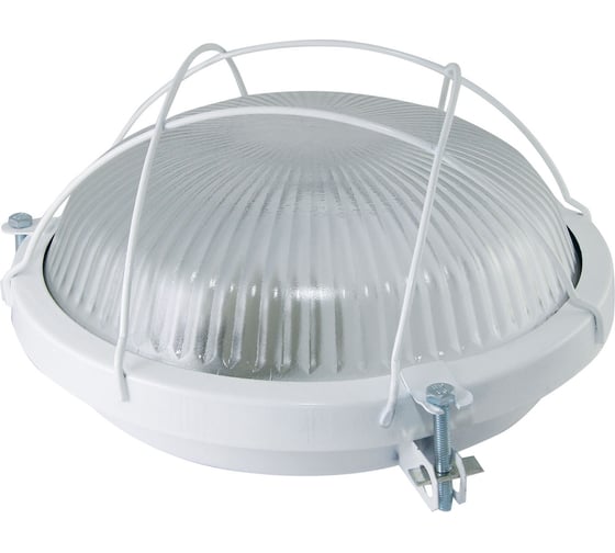 Светильник TDM ELECTRIC НПП 03-100-020.02 (Рыбий глаз с решеткой) IP65 SQ0311-0022 1