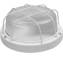 Светильник TDM ELECTRIC НПП 03-100-103 (металл, стекло, с решеткой) IP65 SQ0311-0020