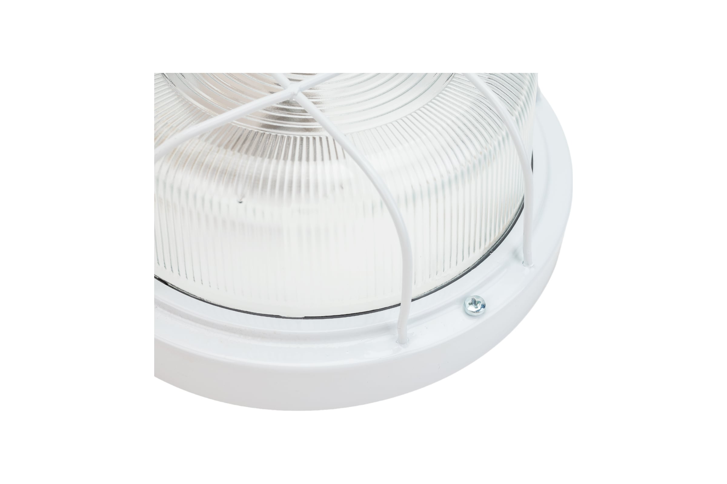 Светильник TDM ELECTRIC НПП 03-100-103 (металл, стекло, с решеткой