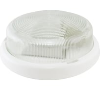 Светильник НПП 03-2х60-015.01 УХЛ4 Рондо TDM ELECTRIC AQ0311-0012