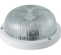 Светильник TDM ELECTRIC НПП 03-60-001 (металл, стекло прозрачное) IP65 SQ0311-0023