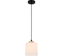Светильник ESCADA 160002/A/1P E27*60W Black ES0000015