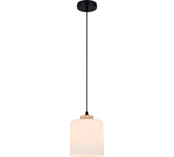 Светильник ESCADA 160002/A/1P E27*60W Black ES0000015 1