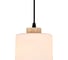 Светильник ESCADA 160002/A/1P E27*60W Black ES0000015 3