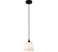 Светильник ESCADA 160003/1P E27*60W Black ES0000025