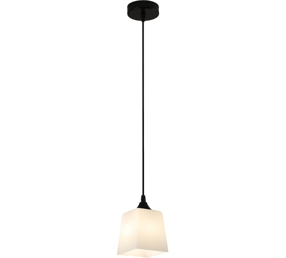 Светильник ESCADA 160003/1P E27*60W Black ES0000025