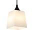 Светильник ESCADA 160003/1P E27*60W Black ES0000025 3