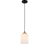 Светильник ESCADA 160002/B/1P E27*60W Black ES0000016