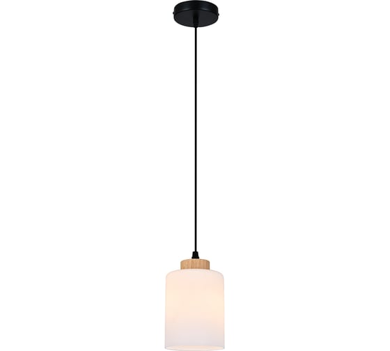 Светильник ESCADA 160002/B/1P E27*60W Black ES0000016 1
