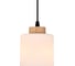 Светильник ESCADA 160002/B/1P E27*60W Black ES0000016 3
