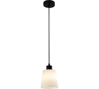 Светильник ESCADA 120004/1P E27*60W Black ES0000041