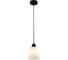 Светильник ESCADA 120004/1P E27*60W Black ES0000041 1
