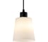 Светильник ESCADA 120004/1P E27*60W Black ES0000041 3