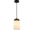 Светильник ESCADA E14*40W Black/Brass 1151/1S 1
