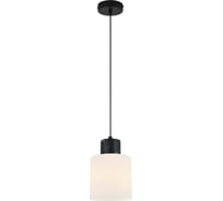Светильник ESCADA E27*60W Black marble 2133/1S