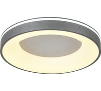 Светильник ESCADA 80W Silver 627/A LED