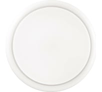 Настенно-потолочный светильник SONEX пластик LED 20W SMALLI 3022/AL