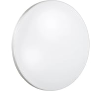 Настенно-потолочный светильник SONEX пластик LED 30W SOLO 2016/CL