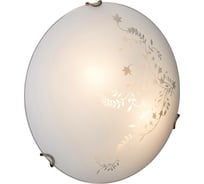 Настенно-потолочный светильник SONEX стекло E27 2х100W KUSTA 218