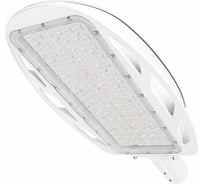 Светодиодный светильник Diora Skat White (Белый) DSG250-ShK-3K-C RAL 9016