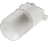 Светильник для сауны General Lighting Systems GCF-SNP-60-E27-IP65-W, НПБ-400-1 230В 60Вт белый наклонный пластик 437877