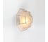 Фасадный светильник General Lighting Systems Серия Паутинка GWL-E27-M-IP65 Белое золото цоколь E27 под лампу 50Вт IP65 662586 3