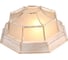 Фасадный светильник General Lighting Systems Серия Паутинка GWL-E27-M-IP65 Белое золото цоколь E27 под лампу 50Вт IP65 662586 6