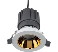 Встраиваемый поворотный светильник REXANT Horeca Dark Light 12 Вт 4000 К LED GOLD 615-1001