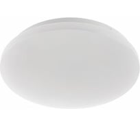 Настенно-потолочный светильник REXANT Proteus large 25W 4000 K LED 625-003