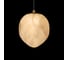 Подвесной светильник LOFT IT Fionora 10531D 4