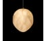 Подвесной светильник LOFT IT Fionora 10531D 6
