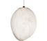 Подвесной светильник LOFT IT Fionora 10531A 5