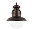 Уличный настенный светильник LOFT IT Piemonte 100022W 3