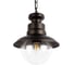 Уличный подвесной светильник LOFT IT Piemonte 100022P 3