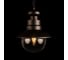 Уличный подвесной светильник LOFT IT Piemonte 100022P 6
