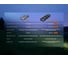 Фонарь Fenix E06R Pro RG черный E06RPRORGBK 19