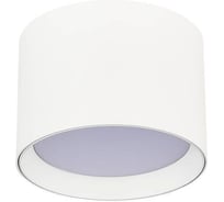Светильник потолочный ST LUCE белый GX53 1х50W IP20 D85xH60 220V без ламп ST163.502.01.02