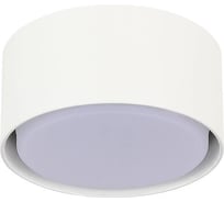 Светильник потолочный ST LUCE белый GX53 1х50W IP20 D85xH40 220V без ламп ST164.502.01