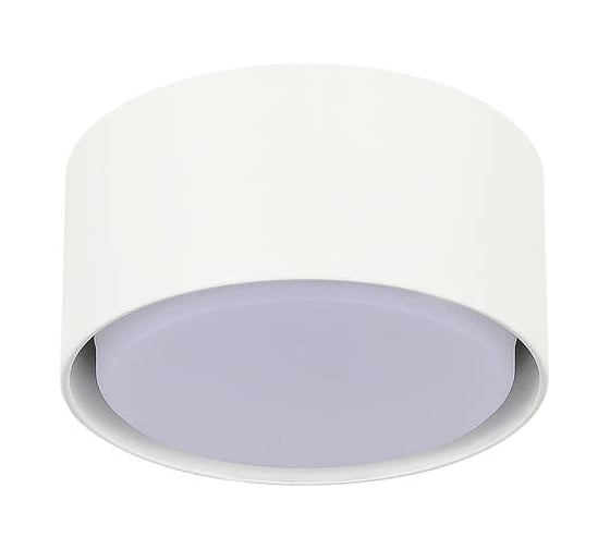 Светильник потолочный ST LUCE белый GX53 1х50W IP20 D85xH40 220V без ламп ST164.502.01